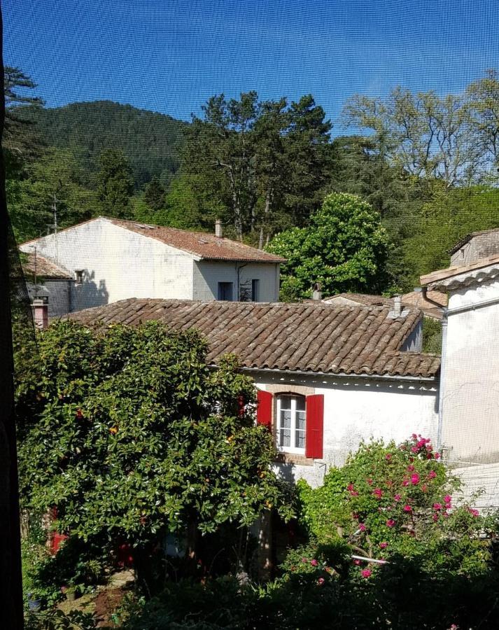 Vista Cevenol: Appartement 2 Chambres Saint-Jean-du-Gard Exterior foto